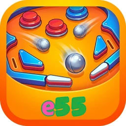 e55